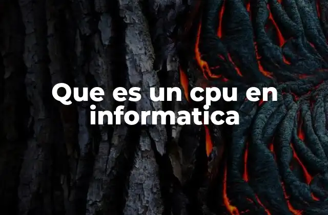 Que es un Cpu en Informatica