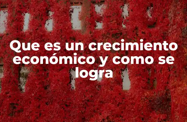 Que es un Crecimiento Económico y como Se Logra