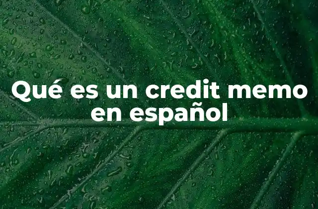 Qué es un Credit Memo en Español