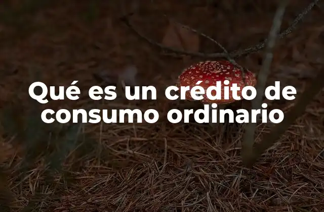 Qué es un Crédito de Consumo Ordinario