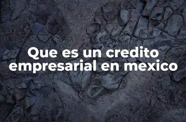 Que es un Credito Empresarial en Mexico 2 Cómo funcionan los créditos empresariales en el mercado mexicano