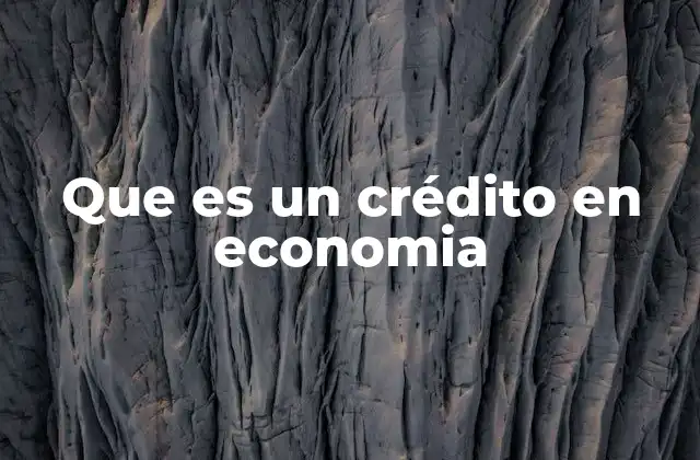 Que es un Crédito en Economia