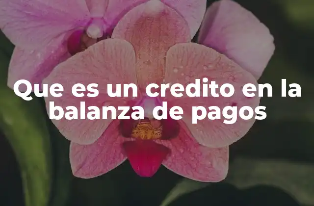 Que es un Credito en la Balanza de Pagos