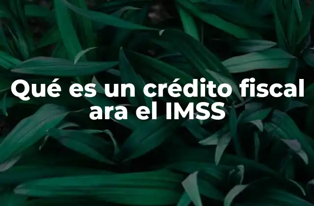 Qué es un Crédito Fiscal Ara el Imss