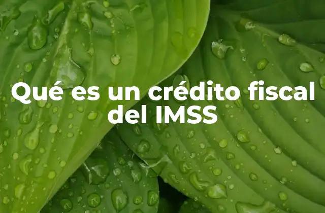 Qué es un Crédito Fiscal Del Imss