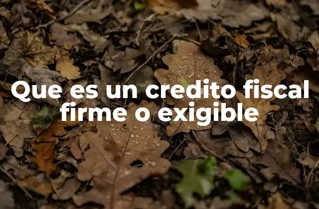 Que es un Credito Fiscal Firme o Exigible