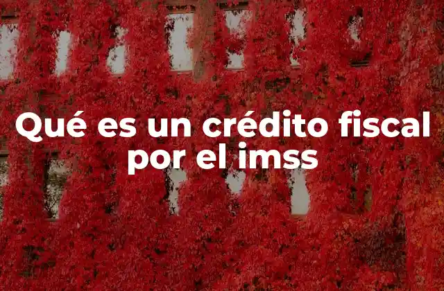 Qué es un Crédito Fiscal por el Imss