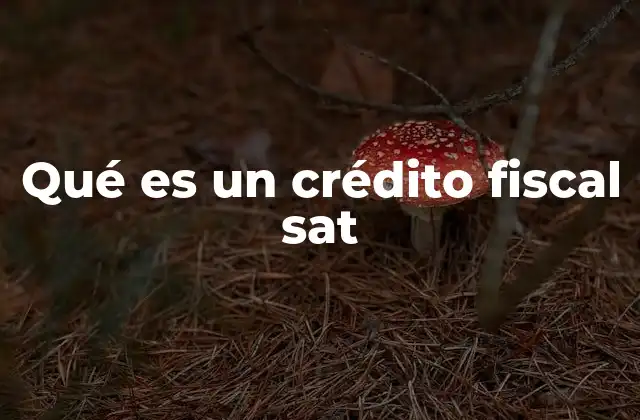El funcionamiento del sistema de crédito fiscal en México