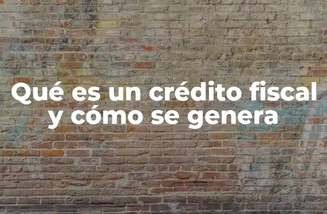 Cómo funcionan los créditos fiscales sin mencionar directamente el término