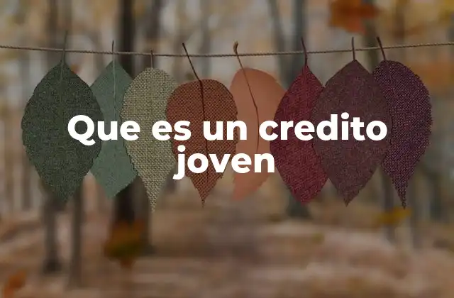 Que es un Credito Joven