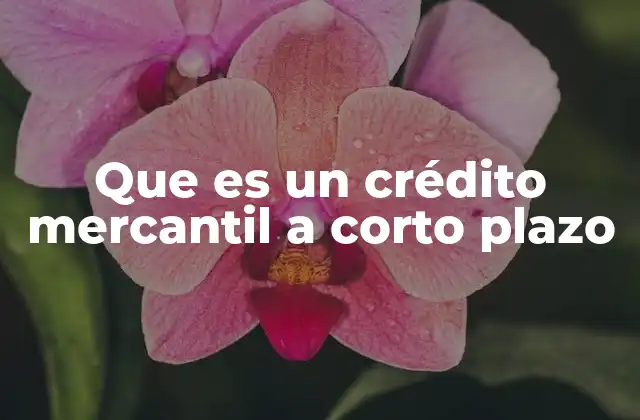 La importancia de contar con financiamiento operativo flexible