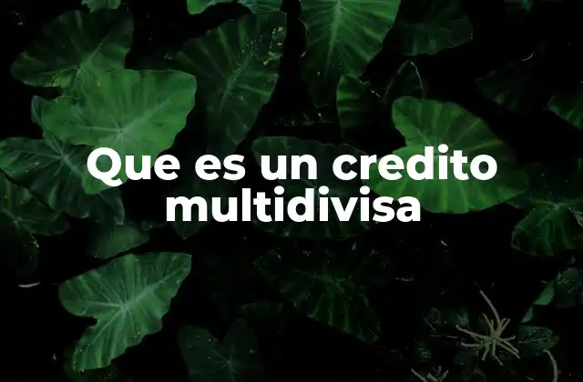 Que es un Credito Multidivisa