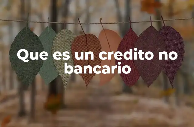 Que es un Credito No Bancario