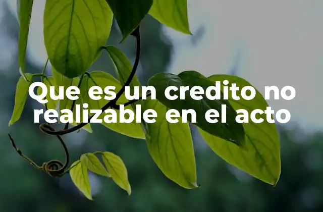 Diferencias entre créditos inmediatos y créditos no realizables en el acto