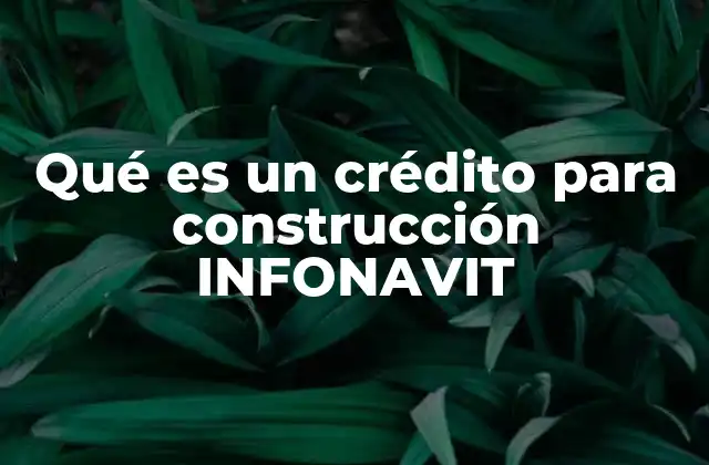 Qué es un Crédito para Construcción Infonavit 2 Cómo funciona el crédito para construcción INFONAVIT sin mencionar directamente la palabra clave