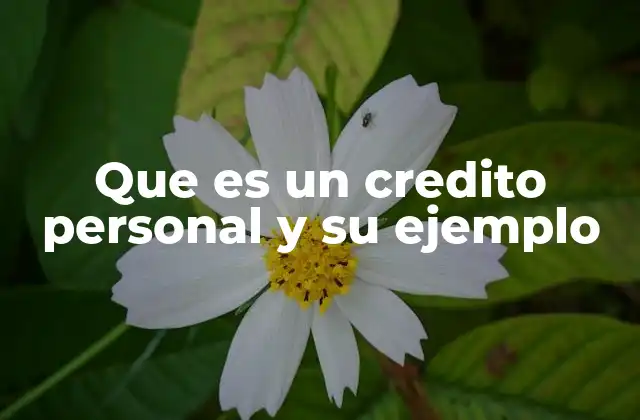 Que es un Credito Personal y Su Ejemplo