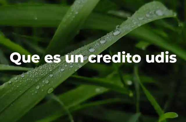 Que es un Credito Udis