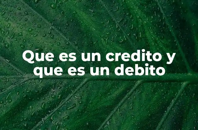 Que es un Credito y que es un Debito