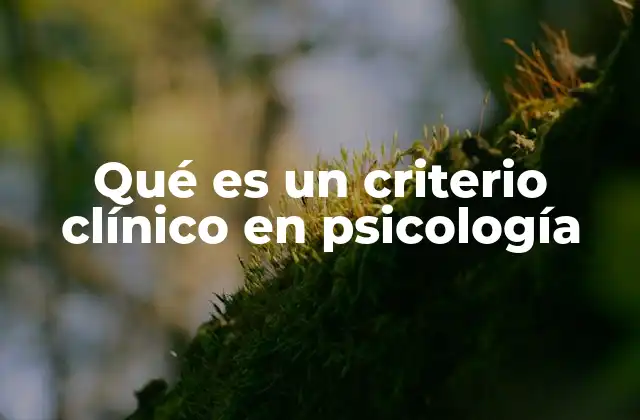 Qué es un Criterio Clínico en Psicología