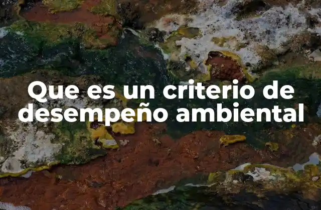 Que es un Criterio de Desempeño Ambiental