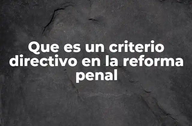 Que es un Criterio Directivo en la Reforma Penal