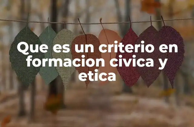 Que es un Criterio en Formacion Civica y Etica