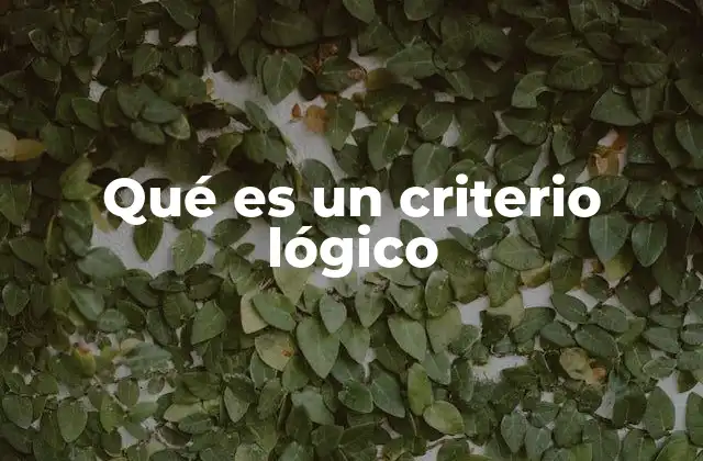 Qué es un Criterio Lógico