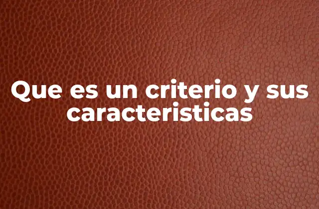 Que es un Criterio y Sus Caracteristicas