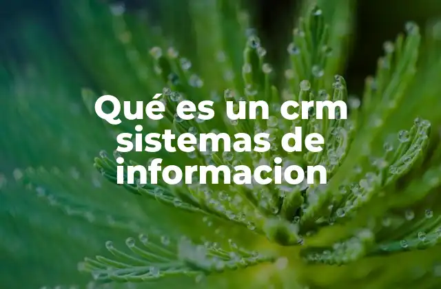 Qué es un Crm Sistemas de Informacion