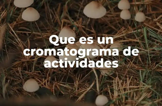 Que es un Cromatograma de Actividades