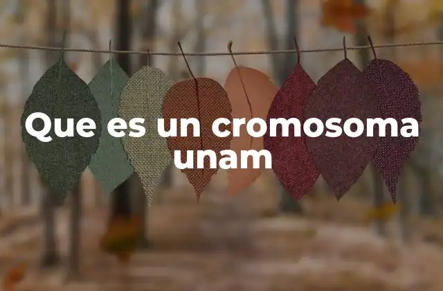 Que es un Cromosoma Unam