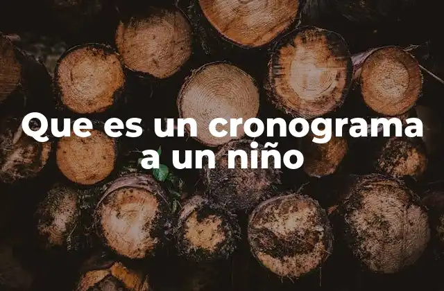 Que es un Cronograma a un Niño
