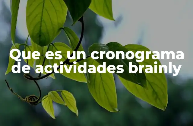 Que es un Cronograma de Actividades Brainly