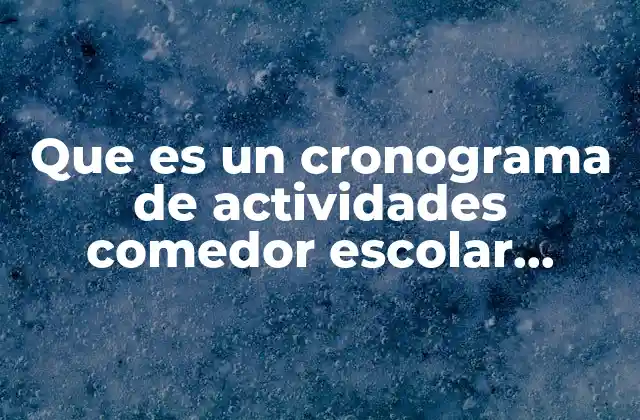Que es un Cronograma de Actividades Comedor Escolar Saludable