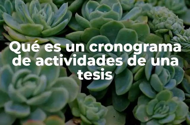Qué es un Cronograma de Actividades de una Tesis