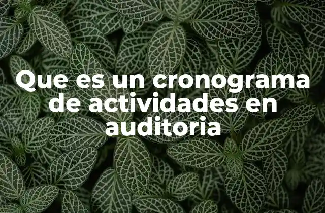 Que es un Cronograma de Actividades en Auditoria