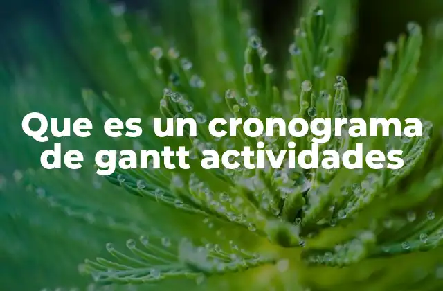 Que es un Cronograma de Gantt Actividades