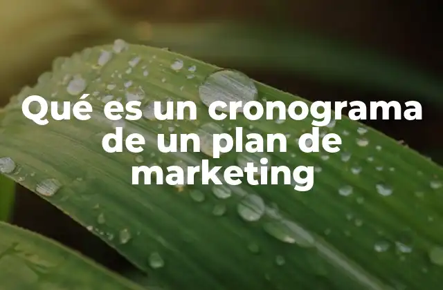 Qué es un Cronograma de un Plan de Marketing 2 La importancia del orden temporal en la gestión de estrategias de marketing