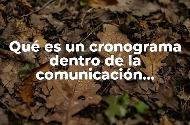 Qué es un Cronograma Dentro de la Comunicación Empresarial