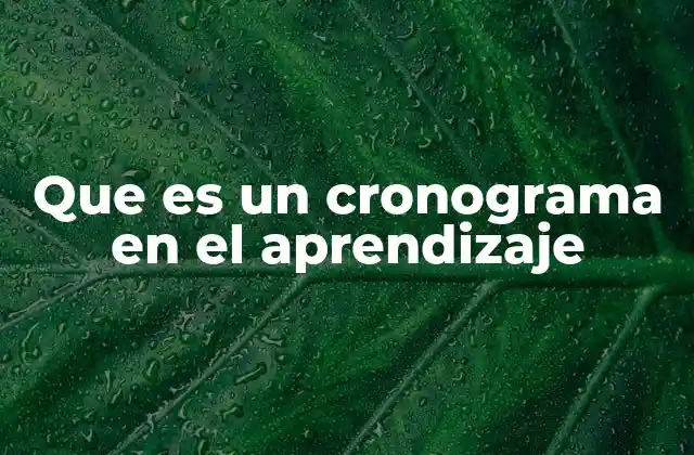 Que es un Cronograma en el Aprendizaje