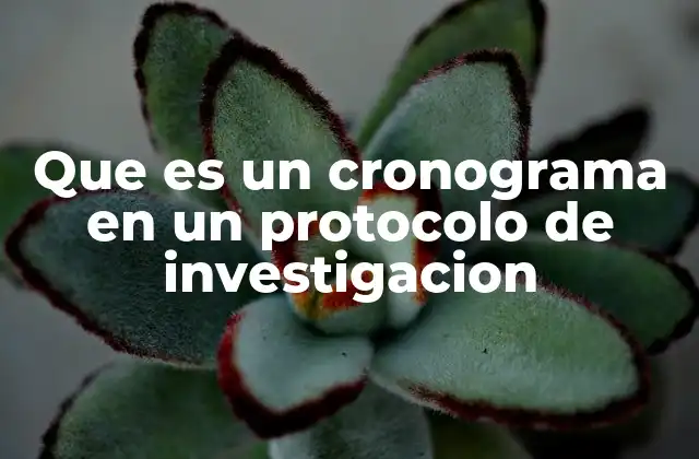 Que es un Cronograma en un Protocolo de Investigacion