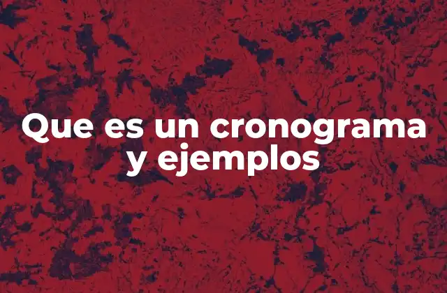 Que es un Cronograma y Ejemplos