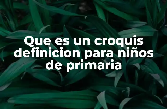 Que es un Croquis Definicion para Niños de Primaria