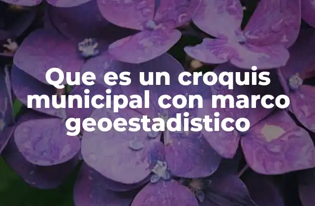 Que es un Croquis Municipal con Marco Geoestadistico