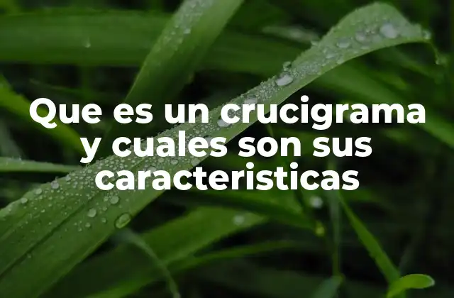 Que es un Crucigrama y Cuales Son Sus Caracteristicas