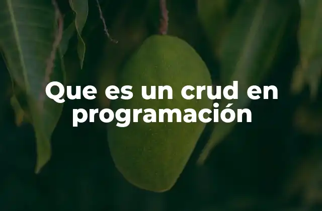 Que es un Crud en Programación