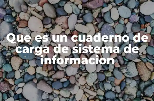 Que es un Cuaderno de Carga de Sistema de Informacion