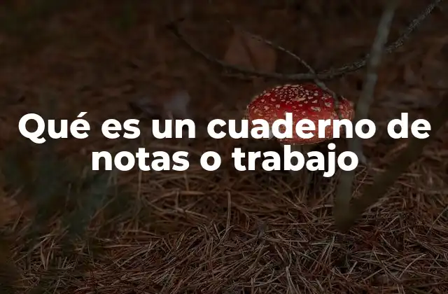 Qué es un Cuaderno de Notas o Trabajo