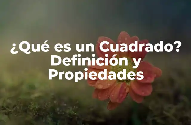 ¿qué es un Cuadrado? Definición y Propiedades