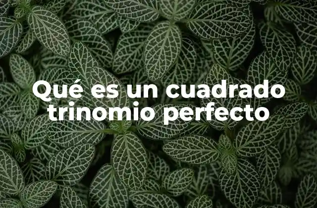 Qué es un Cuadrado Trinomio Perfecto
